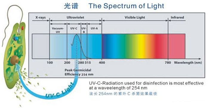 科普！紫外線殺菌燈對(duì)人體影響及正確使用方法